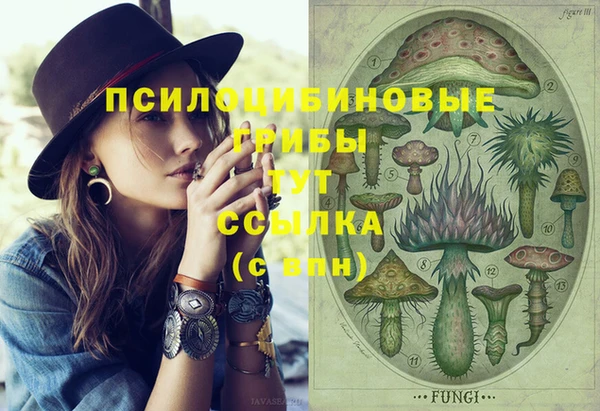 Альфа ПВП Абаза