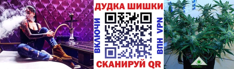 Конопля Bruce Banner  Абаза 